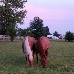 Meet your Posher, Ruth